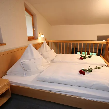 Bellevue Hotel 3*